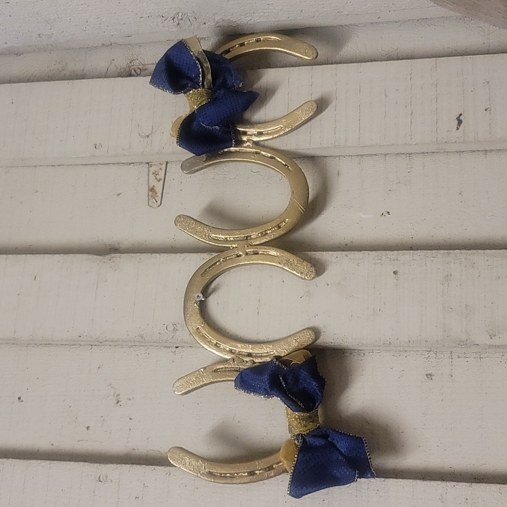 Horseshoe wall decor